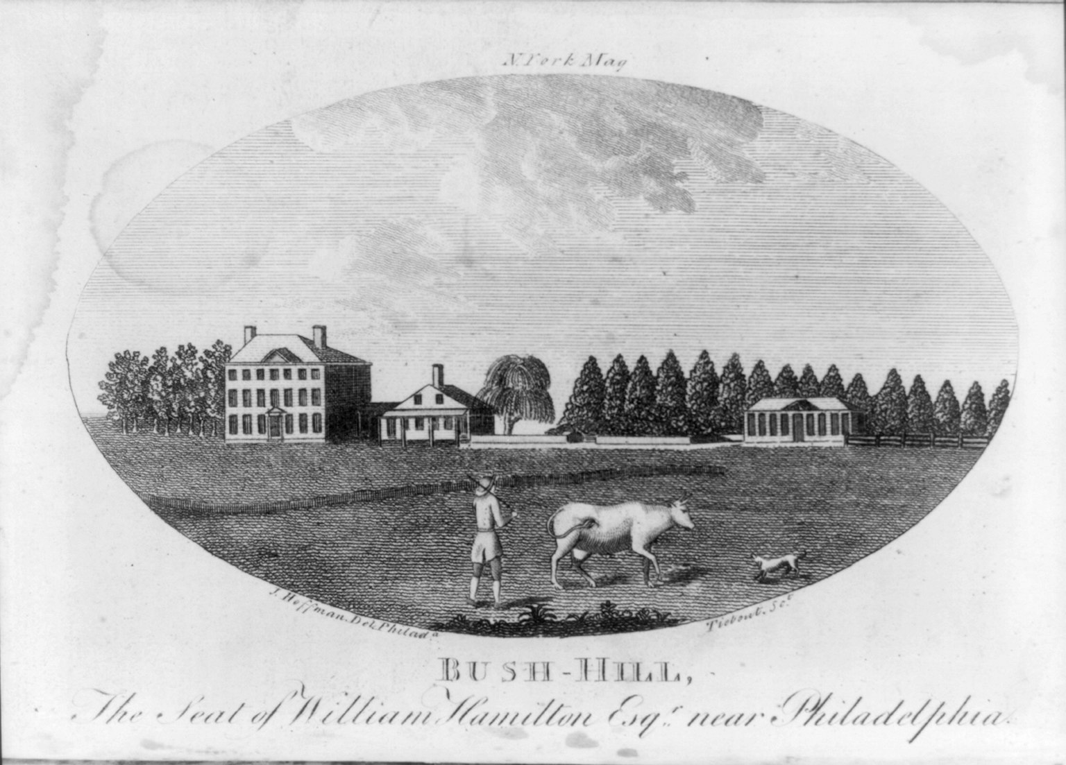 Bush-Hill, the seat of William Hamilton, drawn by Jacob Hoffman and engraved by Cornelius Tiebout, 1793. Library of Congress. The house became the fever hospital in September 1793.