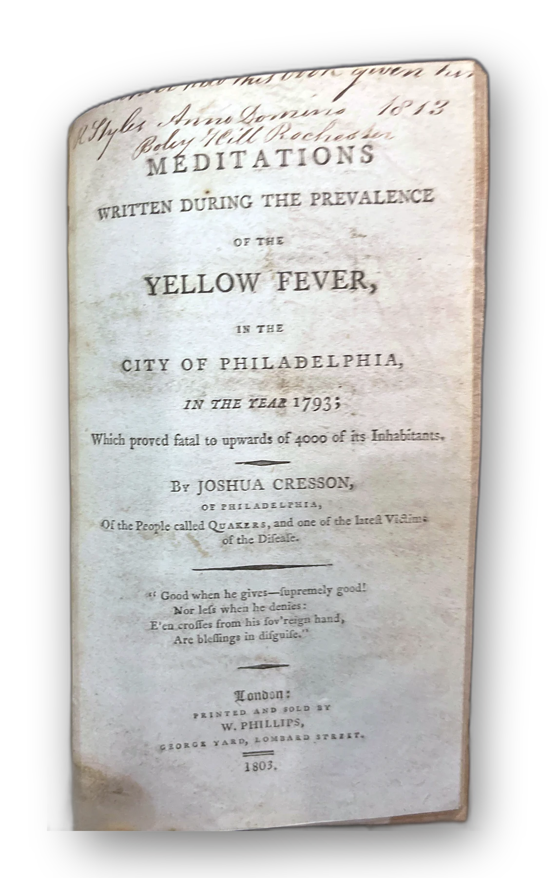 Meditations on Yellow Fever