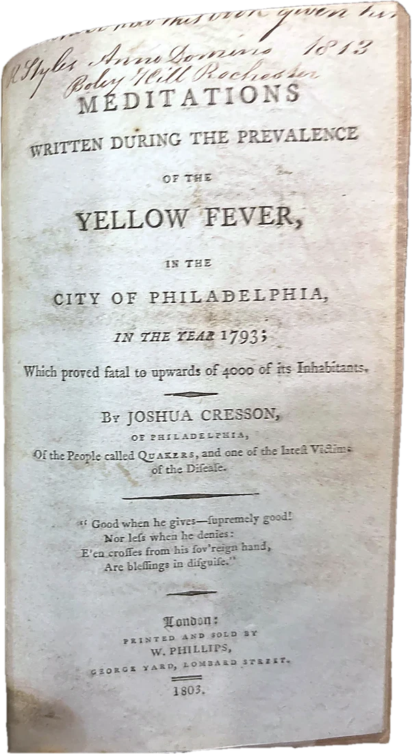 Meditations on Yellow Fever