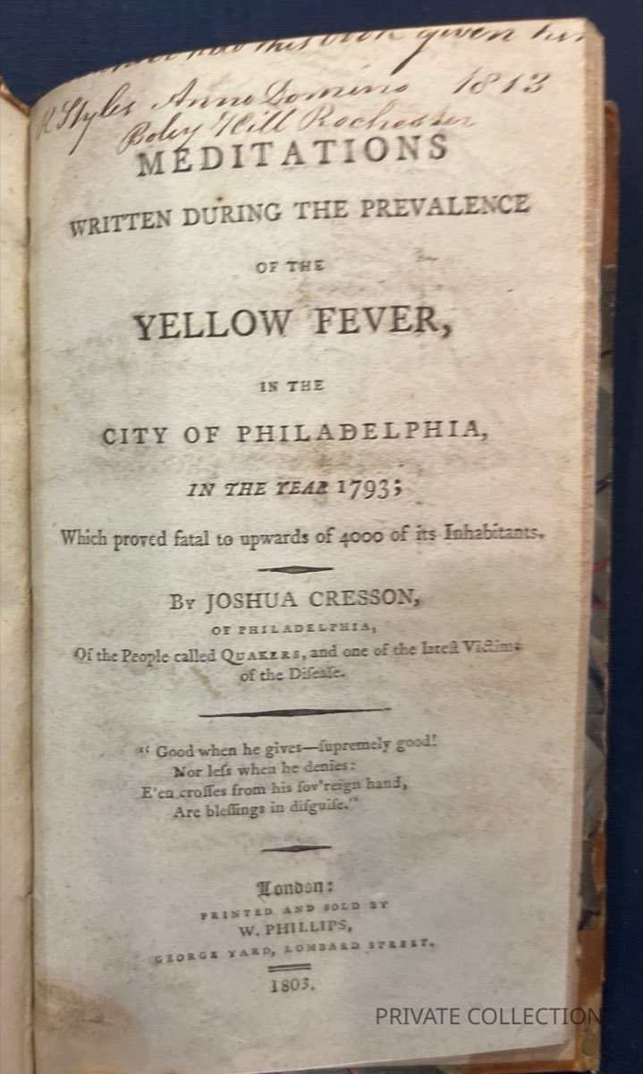 Meditations on Yellow Fever